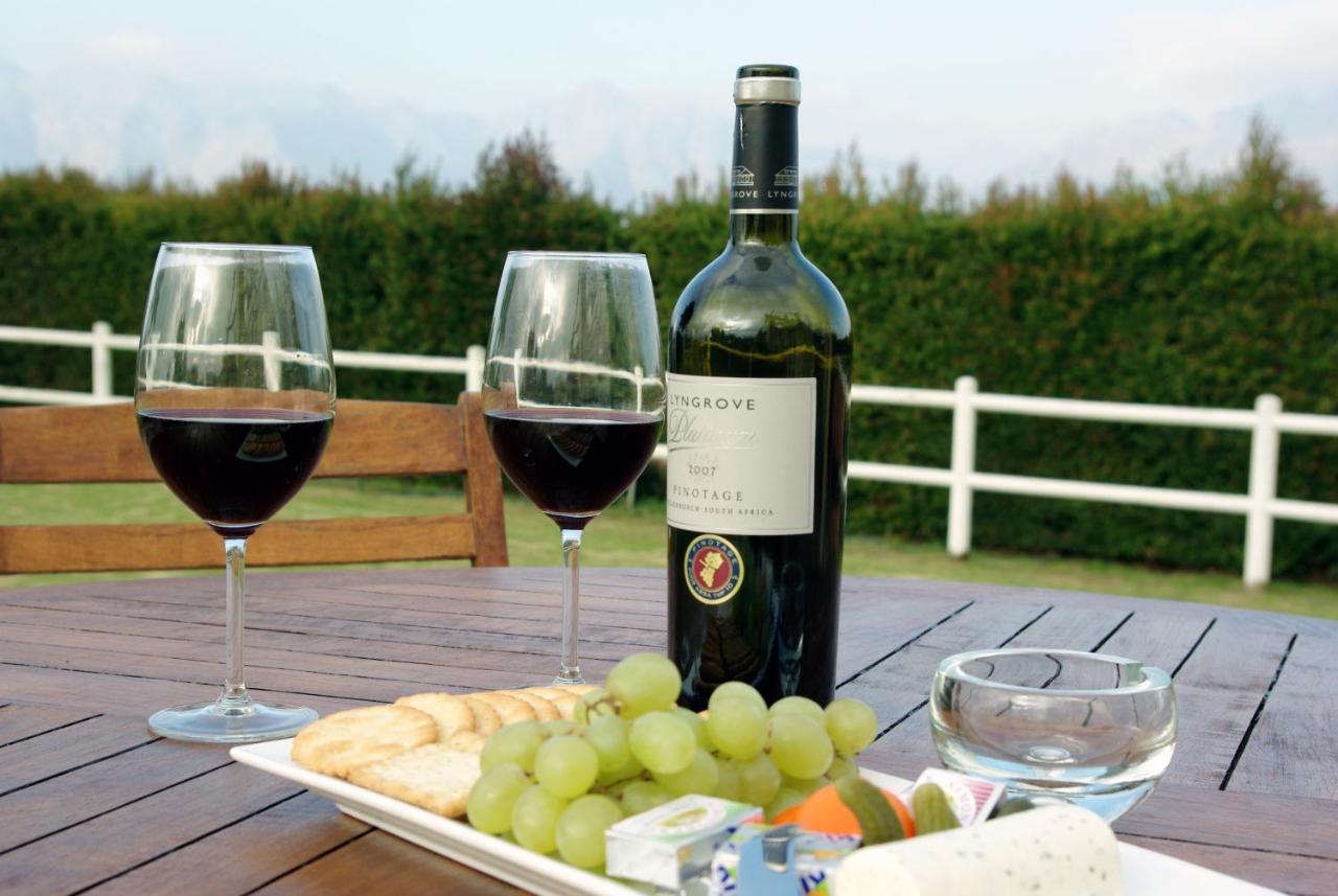 Lyngrove Wines & Guesthouse 스텔렌보스 외부 사진
