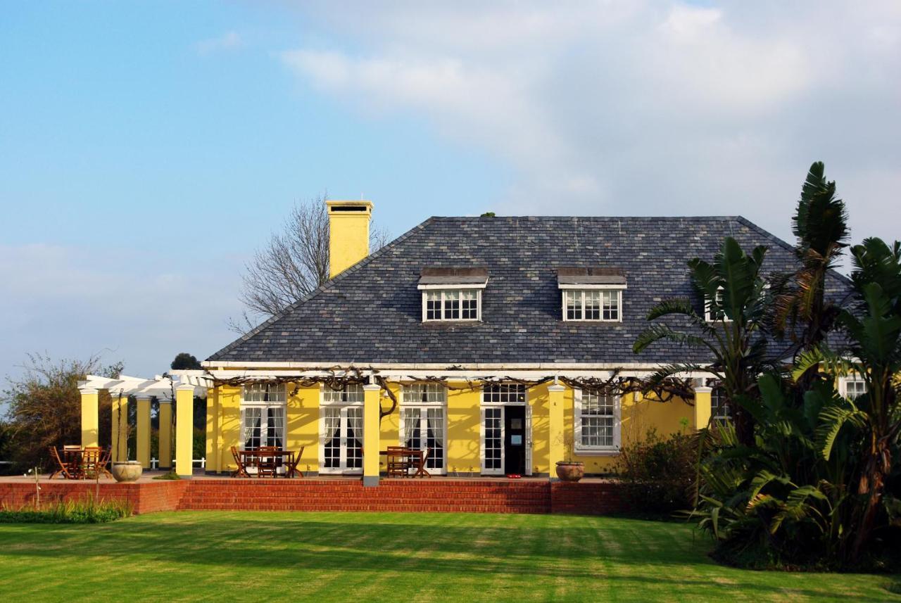 Lyngrove Wines & Guesthouse 스텔렌보스 외부 사진